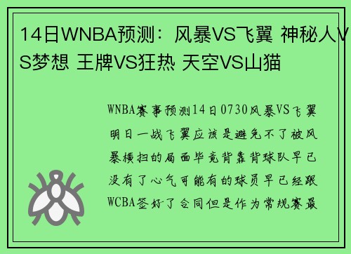 14日WNBA预测：风暴VS飞翼 神秘人VS梦想 王牌VS狂热 天空VS山猫